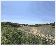  2025Ÿ20952  ͻ  ȭ긮 386      (1)