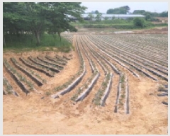  2025Ÿ20952  ͻ  ȭ긮 386      (1)