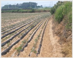  2025Ÿ20952  ͻ  ȭ긮 386      (1)