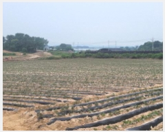  2025Ÿ20952  ͻ  ȭ긮 386      (1)