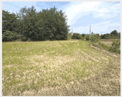  2025Ÿ��20957  �����