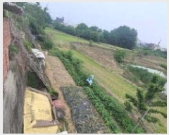  2025Ÿ��20957  �����