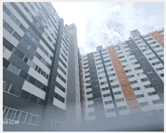  2025Ÿ21047    45-7 곪ְ5Ʈ 505 2206ȣ    Ʈ