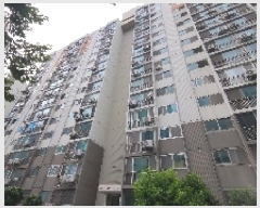  2025Ÿ21047    45-7 곪ְ5Ʈ 505 2206ȣ    Ʈ