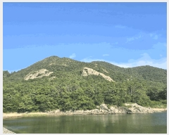  2025Ÿ21097    Žõ 5-113      (Ӿ)