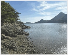  2025Ÿ21097    Žõ 5-113      (Ӿ)