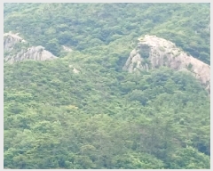  2025Ÿ21097    Žõ 5-113      (Ӿ)