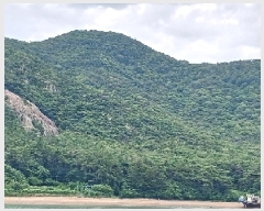  2025Ÿ21097    Žõ 5-113      (Ӿ)