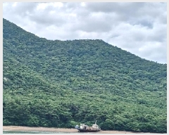  2025Ÿ21097    Žõ 5-113      (Ӿ)