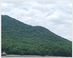  2025Ÿ21097    Žõ 5-113      (Ӿ)