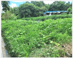  2025Ÿ��21136  �����