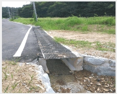  2025Ÿ��21136 ���� �ͻ�� ����� �ε��� 343      ������