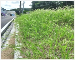  2025Ÿ��21136  �����