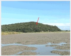  2025Ÿ��21178  �Ӿ߰��