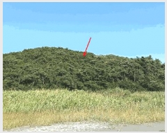  2025Ÿ��21178  �Ӿ߰��