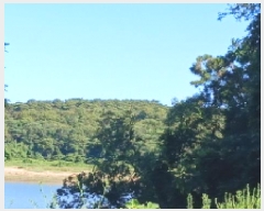  2025Ÿ��21178  �Ӿ߰��