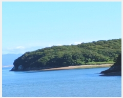  2025Ÿ��21178  �Ӿ߰��