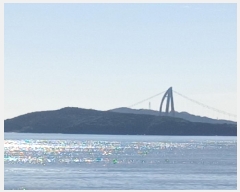  2025Ÿ��21178  �Ӿ߰��