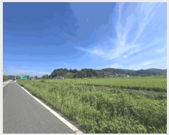  2025Ÿ��21262 ���� ����� ������ ������ ��102-1      ����(�Ӿ�)���