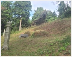  2025Ÿ��21262 ���� ����� ������ ������ ��102-1      ����(�Ӿ�)���