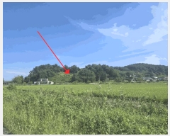  2025Ÿ��21262 ���� ����� ������ ������ ��102-1      ����(�Ӿ�)���