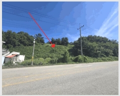  2025Ÿ��21262 ���� ����� ������ ������ ��102-1      ����(�Ӿ�)���