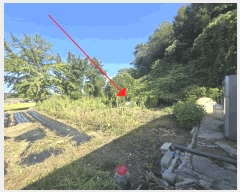  2025Ÿ��21262 ���� ����� ������ ������ ��102-1      ����(�Ӿ�)���