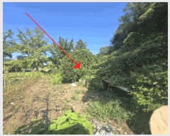  2025Ÿ��21262 ���� ����� ������ ������ ��102-1      ����(�Ӿ�)���