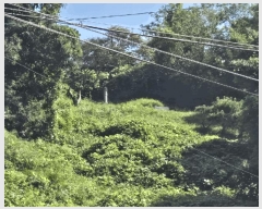  2025Ÿ��21262 ���� ����� ������ ������ ��102-1      ����(�Ӿ�)���