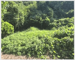  2025Ÿ��21262 ���� ����� ������ ������ ��102-1      ����(�Ӿ�)���