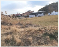  2025Ÿ��66 ���� �ͻ�� ������ ������ 1011      ����(��)���