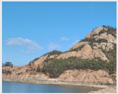  2025Ÿ��158  �Ӿ߰��