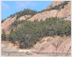  2025Ÿ��158  �Ӿ߰��