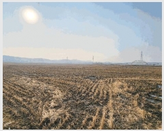  2025Ÿ288   Ű 744-3       ()