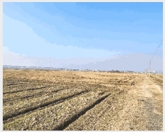  2025Ÿ288   Ű 744-3       ()