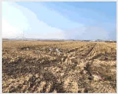  2025Ÿ288   Ű 744-3       ()