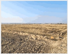  2025Ÿ288   Ű 744-3       ()