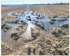  2025Ÿ288   Ű 744-3       ()