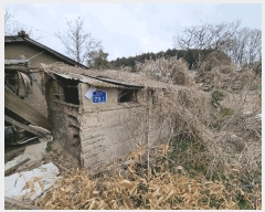  2025Ÿ334    ֺ 539      ð