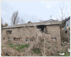  2025Ÿ334    ֺ 539      ð