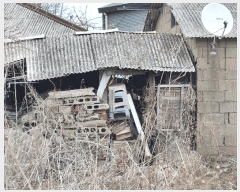  2025Ÿ334    ֺ 539      ð