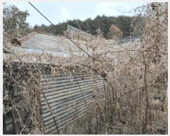  2025Ÿ334    ֺ 539      ð