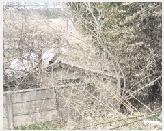  2025Ÿ334    ֺ 539      ð