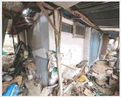  2025Ÿ334    ֺ 539      ð