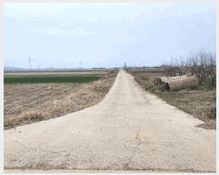  2025Ÿ354   ϵ 3195       ()