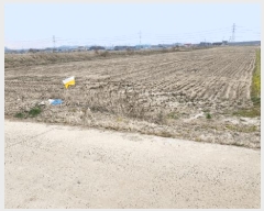  2025Ÿ354   ϵ 3195       ()