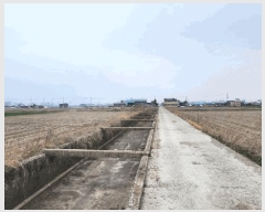  2025Ÿ354   ϵ 3195       ()