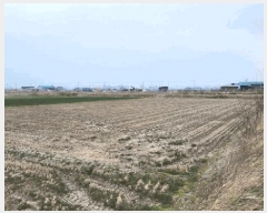  2025Ÿ354   ϵ 3195       ()