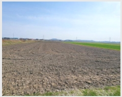  2025Ÿ354   ϵ 3195       ()