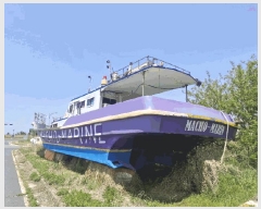  2025Ÿ356           ڰ